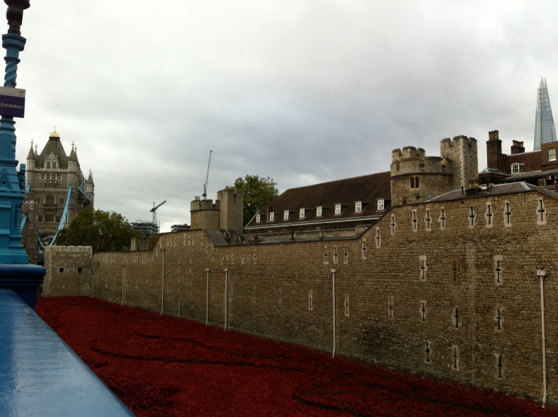 The poppies at Tower of London
